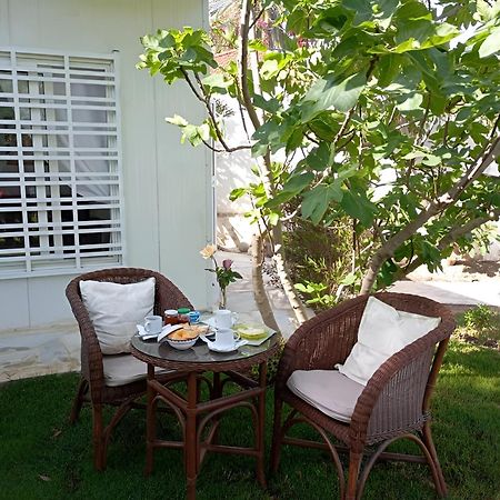Au Bout Du Jardin Villa Картаген Екстериор снимка