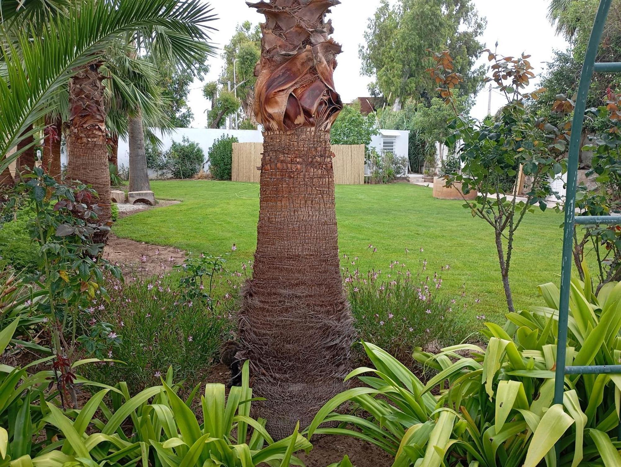 Au Bout Du Jardin Villa Картаген Екстериор снимка